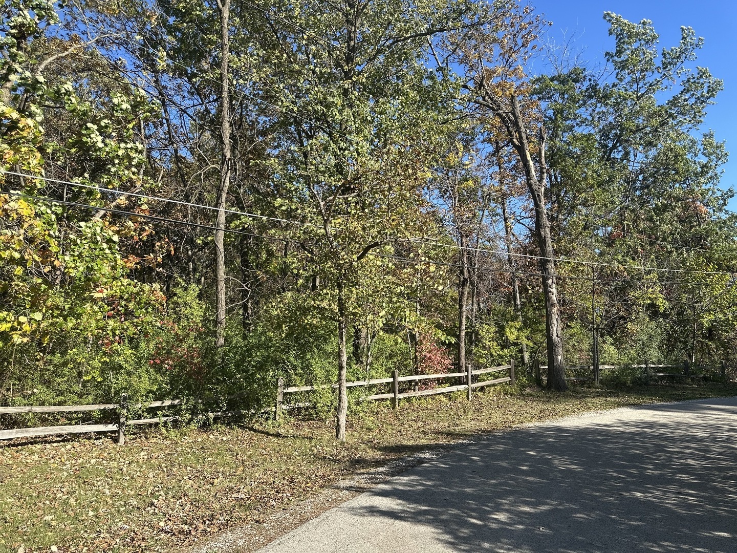 26220 North Midlothian Road Mundelein, IL 60060 - Photo 14 of 19 a view of a field with trees in the background