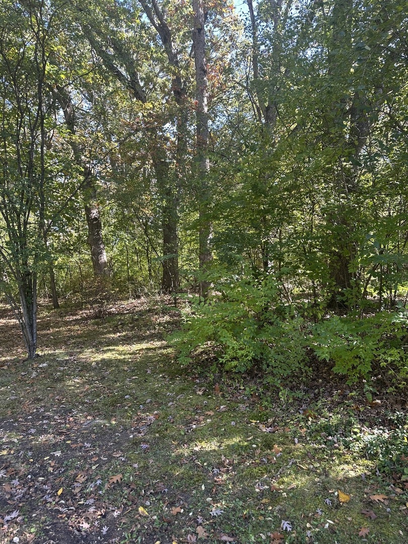 26220 North Midlothian Road Mundelein, IL 60060 - Photo 2 of 19 a view of outdoor space and yard