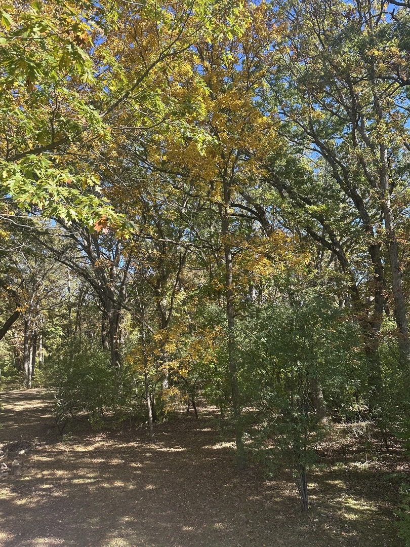 26220 North Midlothian Road Mundelein, IL 60060 - Photo 3 of 19 a view of road and trees