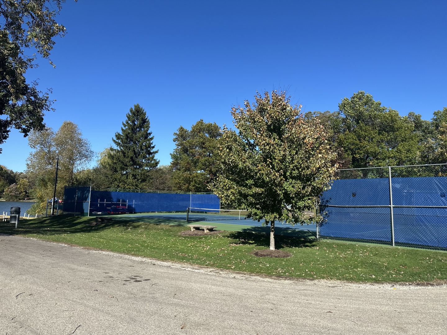 26220 North Midlothian Road Mundelein, IL 60060 - Photo 4 of 19 a view of backyard with barn and large trees