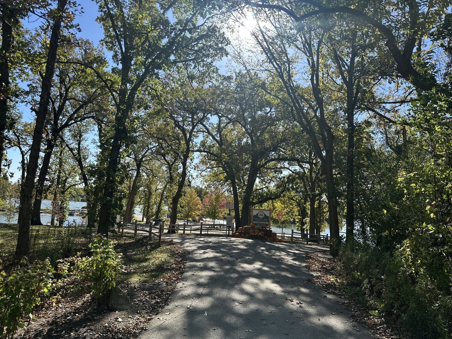 26220 North Midlothian Road Mundelein, IL 60060 - Photo 8 of 19 a view of outdoor space with trees
