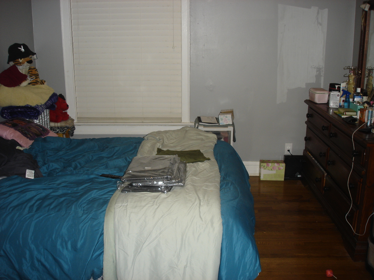 731 East 50th Street Chicago, IL 60615 - Photo 11 of 17