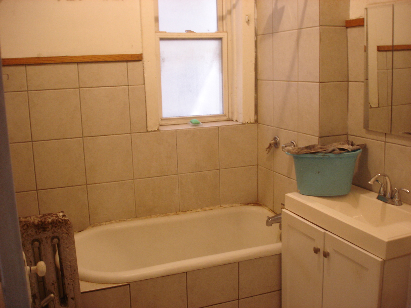 731 East 50th Street Chicago, IL 60615 - Photo 3 of 17