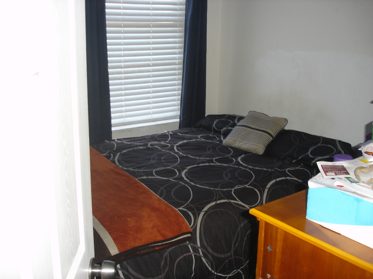 731 East 50th Street Chicago, IL 60615 - Photo 6 of 17