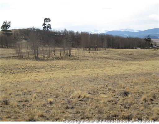 990 Cochise Road Hartsel, CO 80449 - Photo 1 of 10 Gallery Image 1