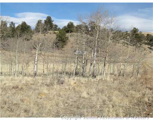 990 Cochise Road Hartsel, CO 80449 - Photo 3 of 10 Gallery Image 3