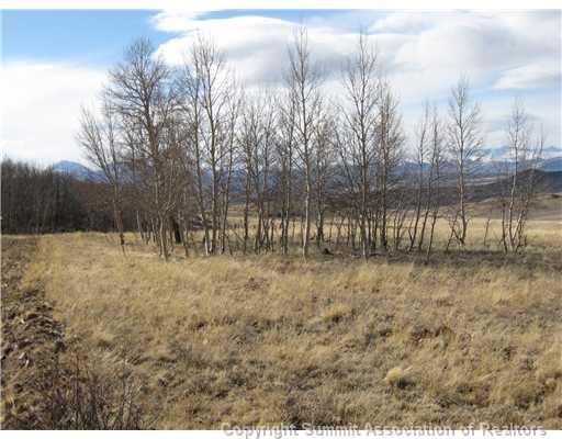 990 Cochise Road Hartsel, CO 80449 - Photo 4 of 10 Gallery Image 4