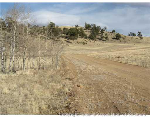 990 Cochise Road Hartsel, CO 80449 - Photo 9 of 10 Gallery Image 9