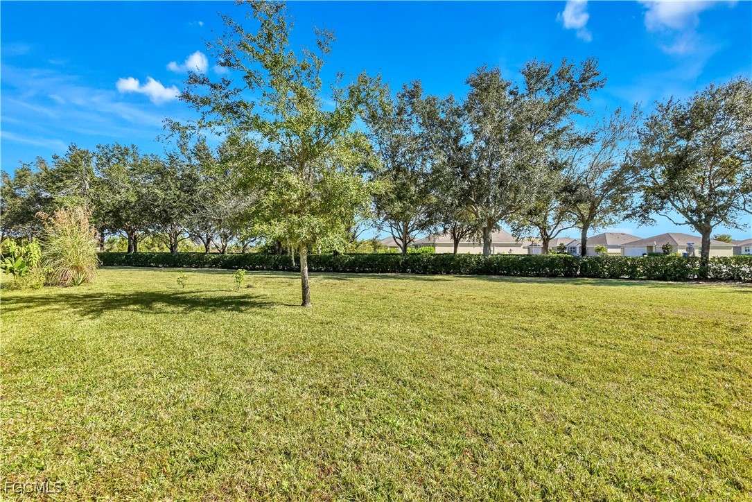 10357 Silver Pond Lane Lehigh Acres, FL 33936 - Photo 18 of 25 a view of a green field