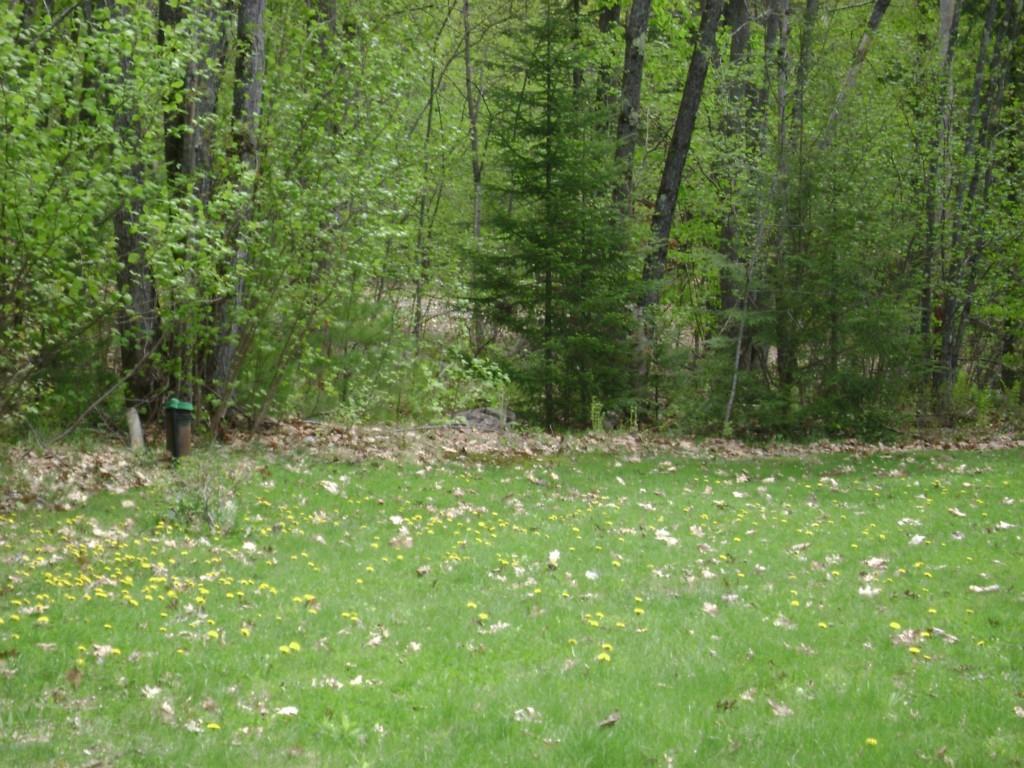 75 Lewis Road Naples, ME 04055 - Photo 14 of 17 Photo