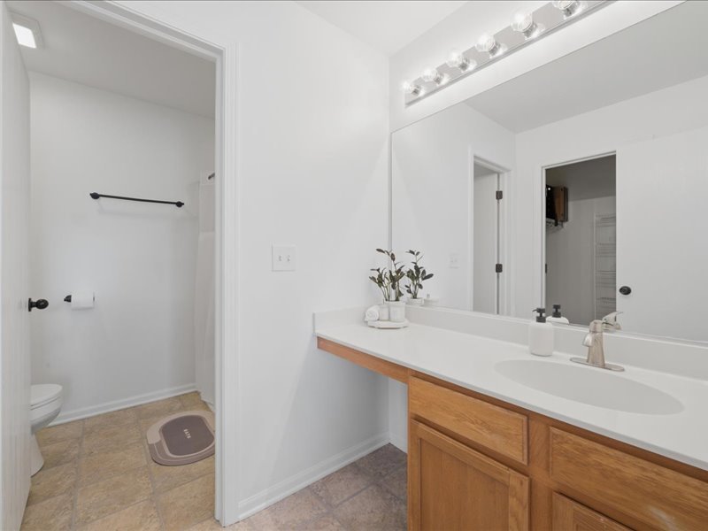 4201 Dillon Street Plano, IL 60545 - Photo 28 of 37 a bathroom with a granite countertop sink a toilet and a mirror