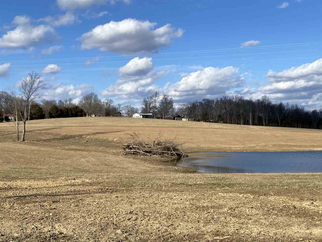 953 Fleet Road Adolphus, KY 42120 - Photo 3 of 6 Gallery Image 3