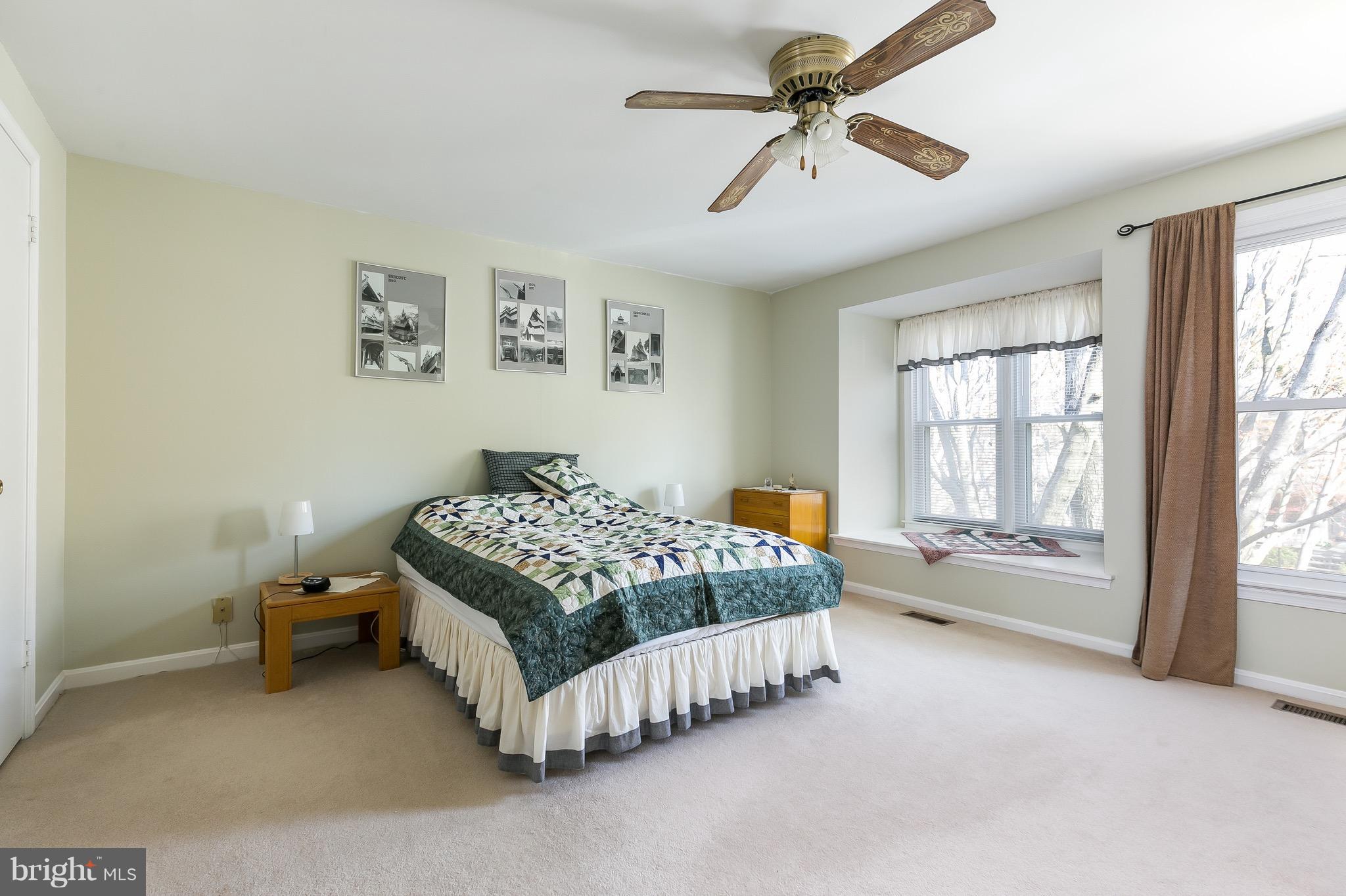 11905 Crosswind Court Reston, VA 20194 - Photo 8 of 22 Plenty of Light, Fan and two Closets