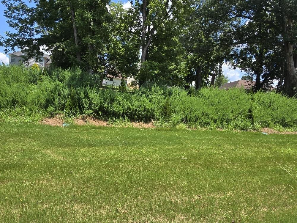 6198 Ripple Way, Unit 87 Atlanta, GA 30349 - Photo 23 of 23 a view of yard with green space