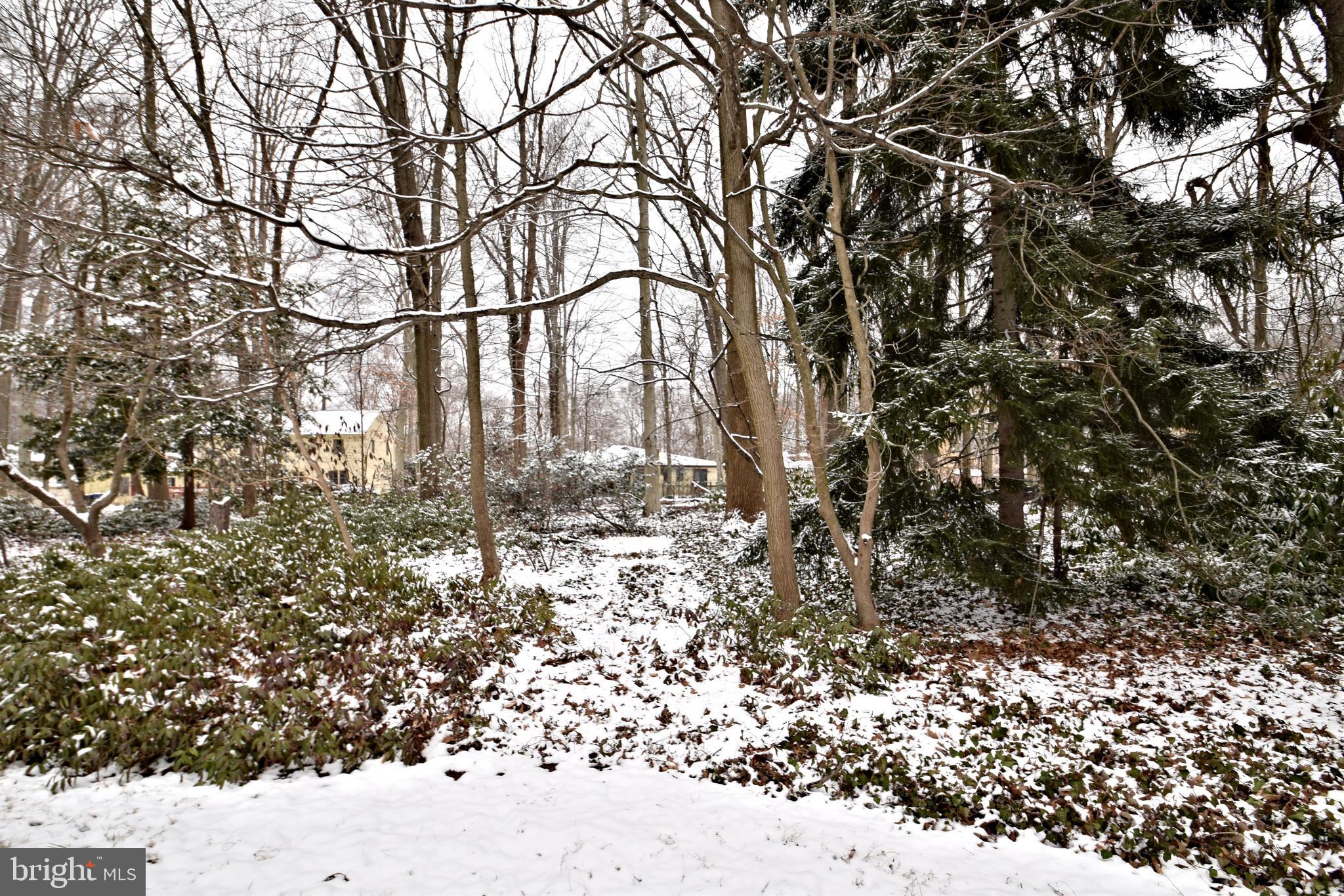 404 Sunset Road Burlington, NJ 08016 - Photo 67 of 72 View to rear
