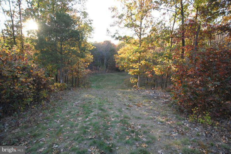 594 Fletcher Road Gore, VA 22637 - Photo 15 of 29 View