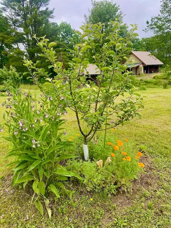 $950,000 | 334 Johnson Road, Auburn, ME 04210