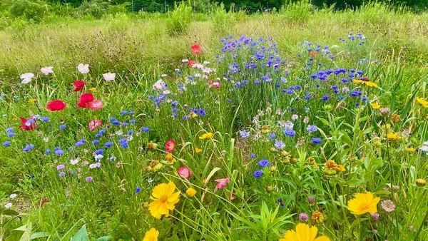 $950,000 | 334 Johnson Road, Auburn, ME 04210