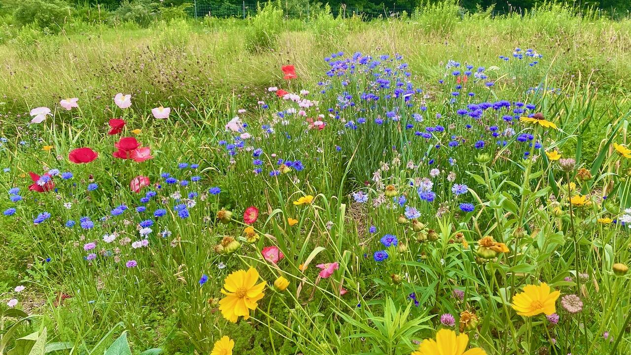 334 Johnson Road Auburn, ME 04210 - Photo 57 of 77 334 Johnson Rd Auburn ME 04210 - 53