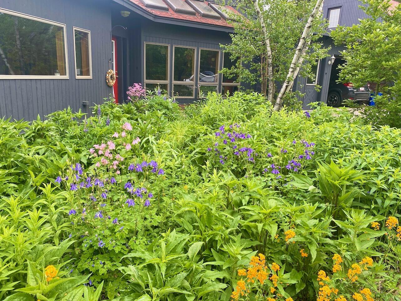 334 Johnson Road Auburn, ME 04210 - Photo 60 of 77 334 Johnson Rd Auburn ME 04210 - 54