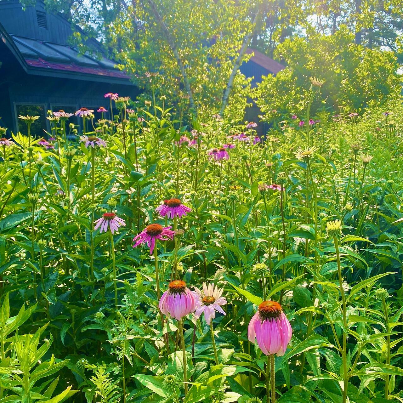 334 Johnson Road Auburn, ME 04210 - Photo 64 of 77 334 Johnson Rd Auburn ME 04210 - 59