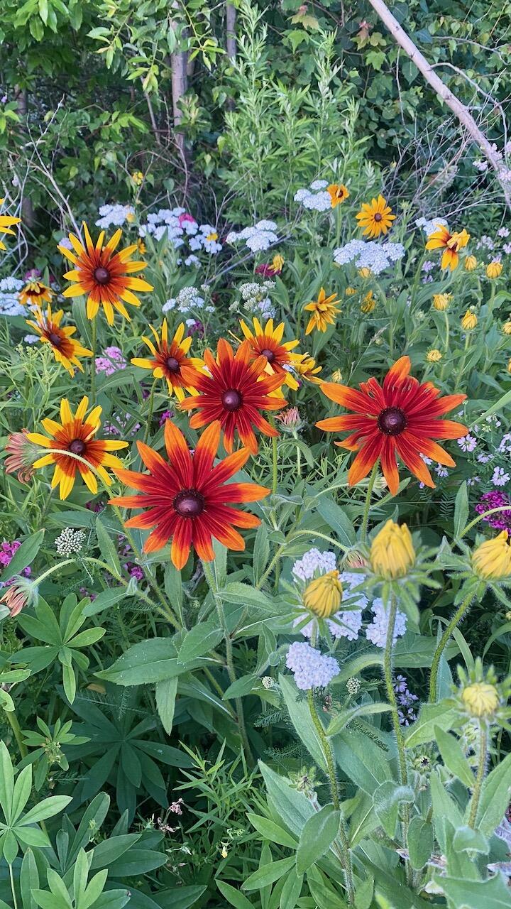 334 Johnson Road Auburn, ME 04210 - Photo 65 of 77 334 Johnson Rd Auburn ME 04210 - 60