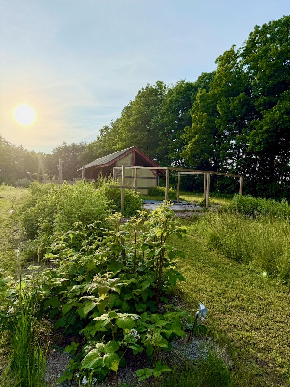 334 Johnson Road Auburn, ME 04210 - Photo 68 of 77 334 Johnson Rd Auburn ME 04210 - 63