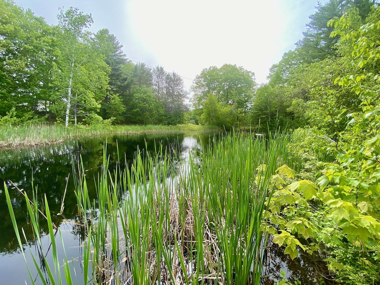 334 Johnson Road Auburn, ME 04210 - Photo 77 of 77 334 Johnson Rd Auburn ME 04210 - 6