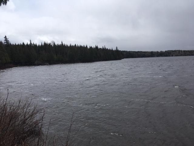 92-2 Mitigwa Road Rangeley, ME 04970 - Photo 7 of 18 Dodge Pond