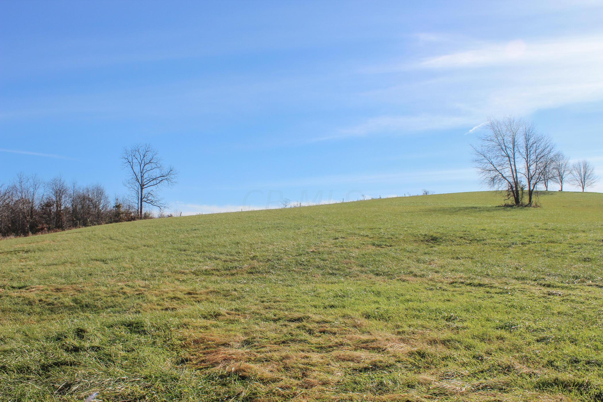 1404 Sam Gilliland Road Oak Hill, OH 45656 - Photo 7 of 15 IMG_5605