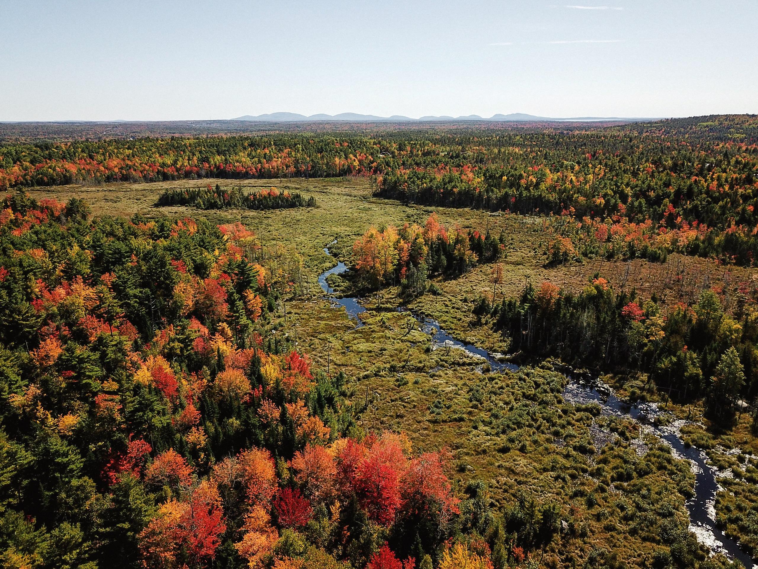 47 Champion Point Way Ellsworth, ME 04605 - Photo 24 of 44 DJI_0035 2