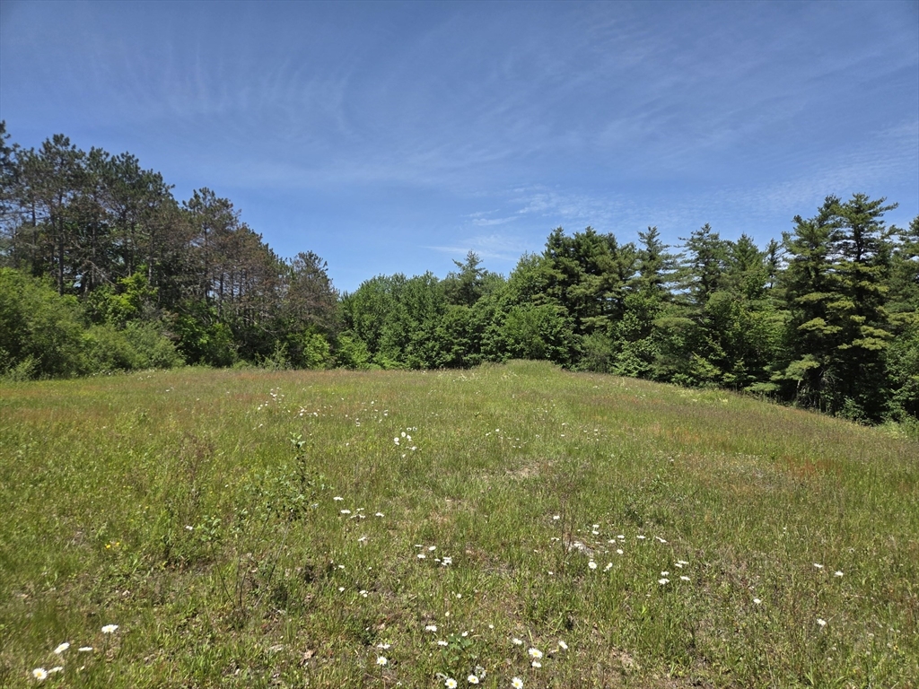 12 Willard Road Ashburnham, MA 01430 - Photo 1 of 3