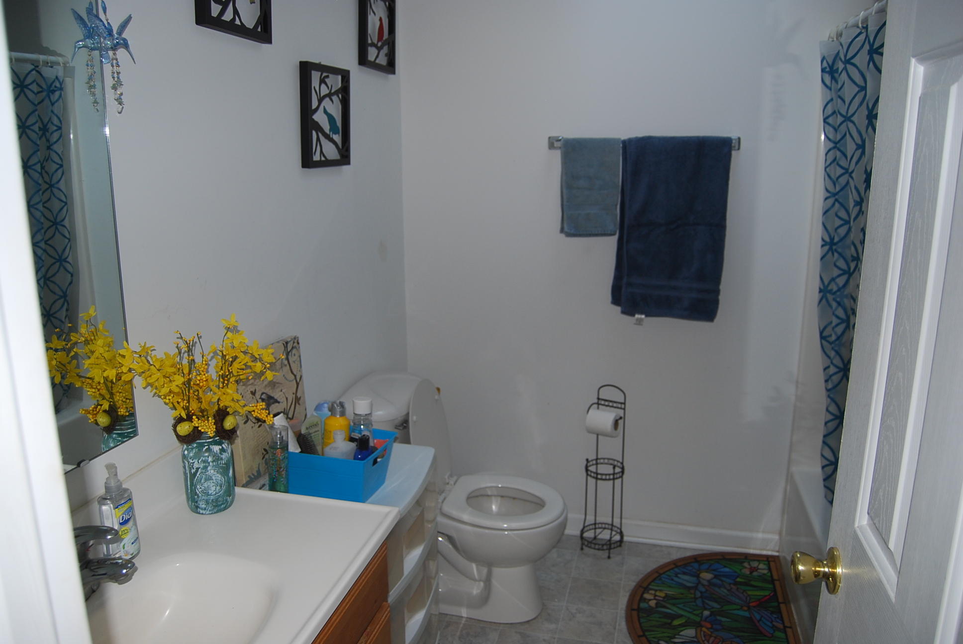 736 Holland Road Callaway, VA 24067 - Photo 15 of 45 a bathroom with a toilet a sink and mirror