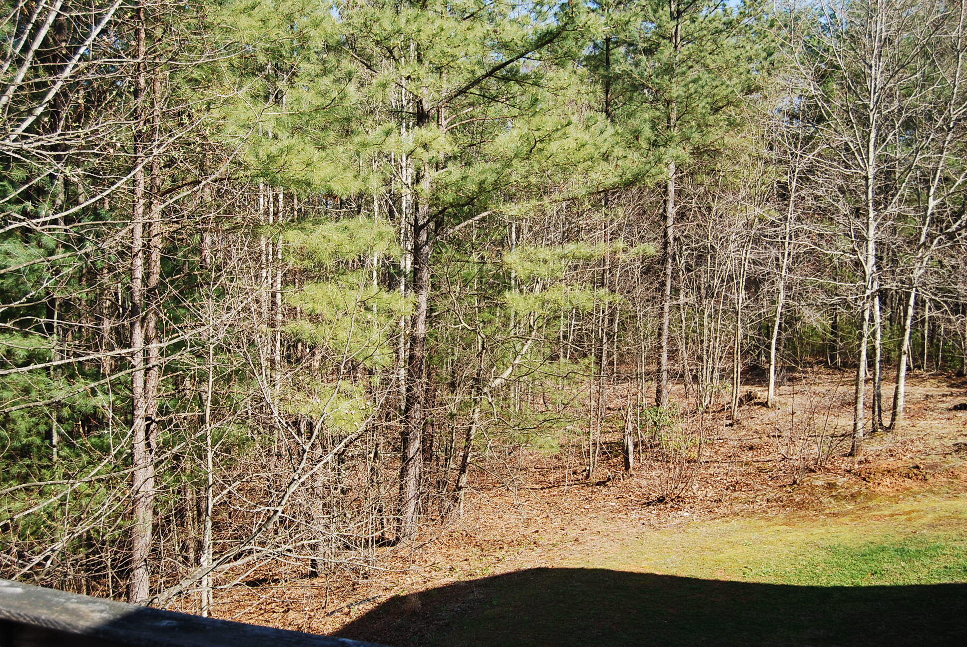 736 Holland Road Callaway, VA 24067 - Photo 38 of 45