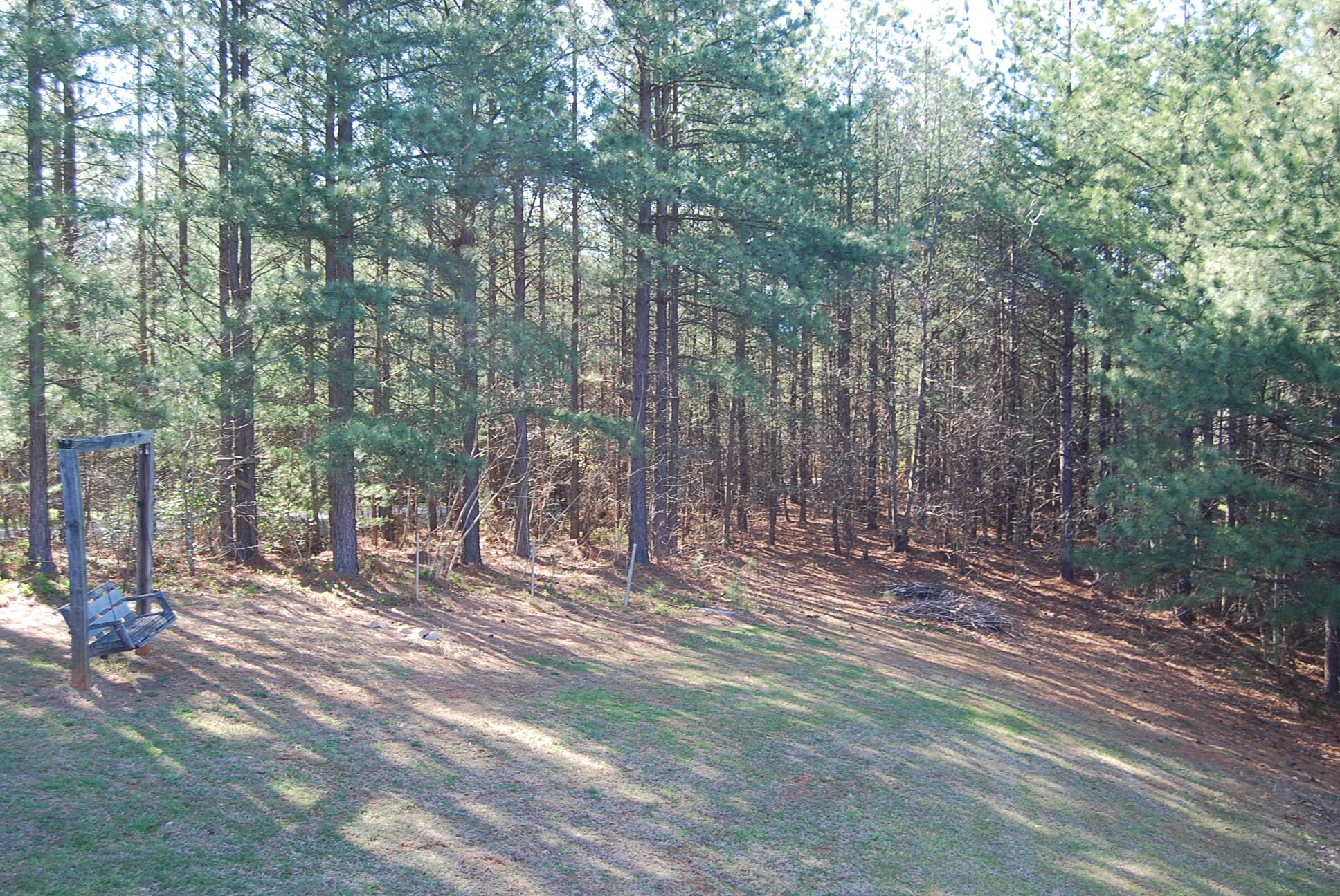 736 Holland Road Callaway, VA 24067 - Photo 39 of 45 a view of outdoor space with trees