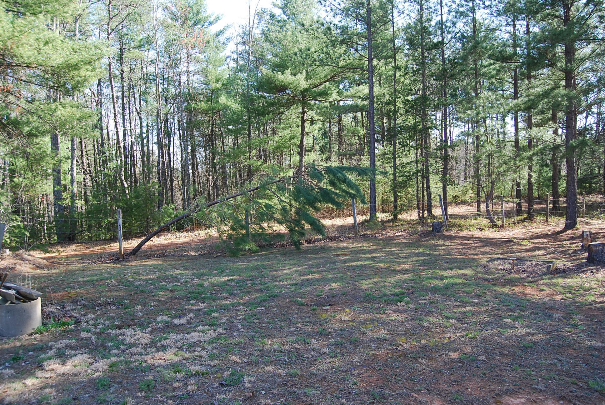 736 Holland Road Callaway, VA 24067 - Photo 43 of 45 a view of outdoor space with trees