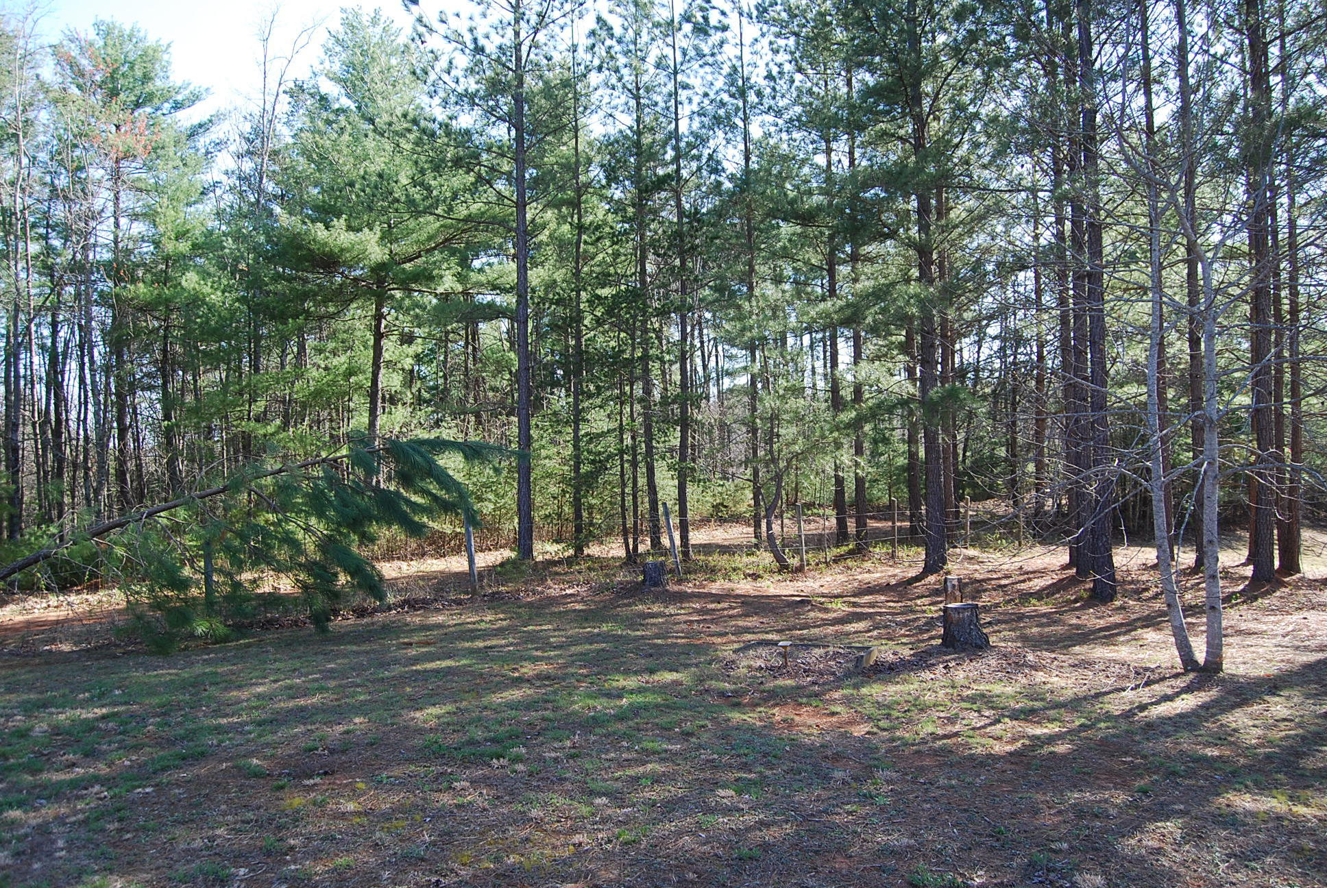 736 Holland Road Callaway, VA 24067 - Photo 44 of 45 a view of outdoor space with trees