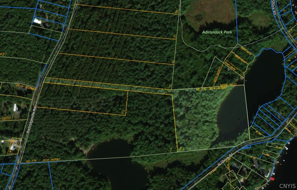 Lot 11 Partridgeville Road Brantingham, NY 13312 - Photo 1 of 1 Gallery Image 1