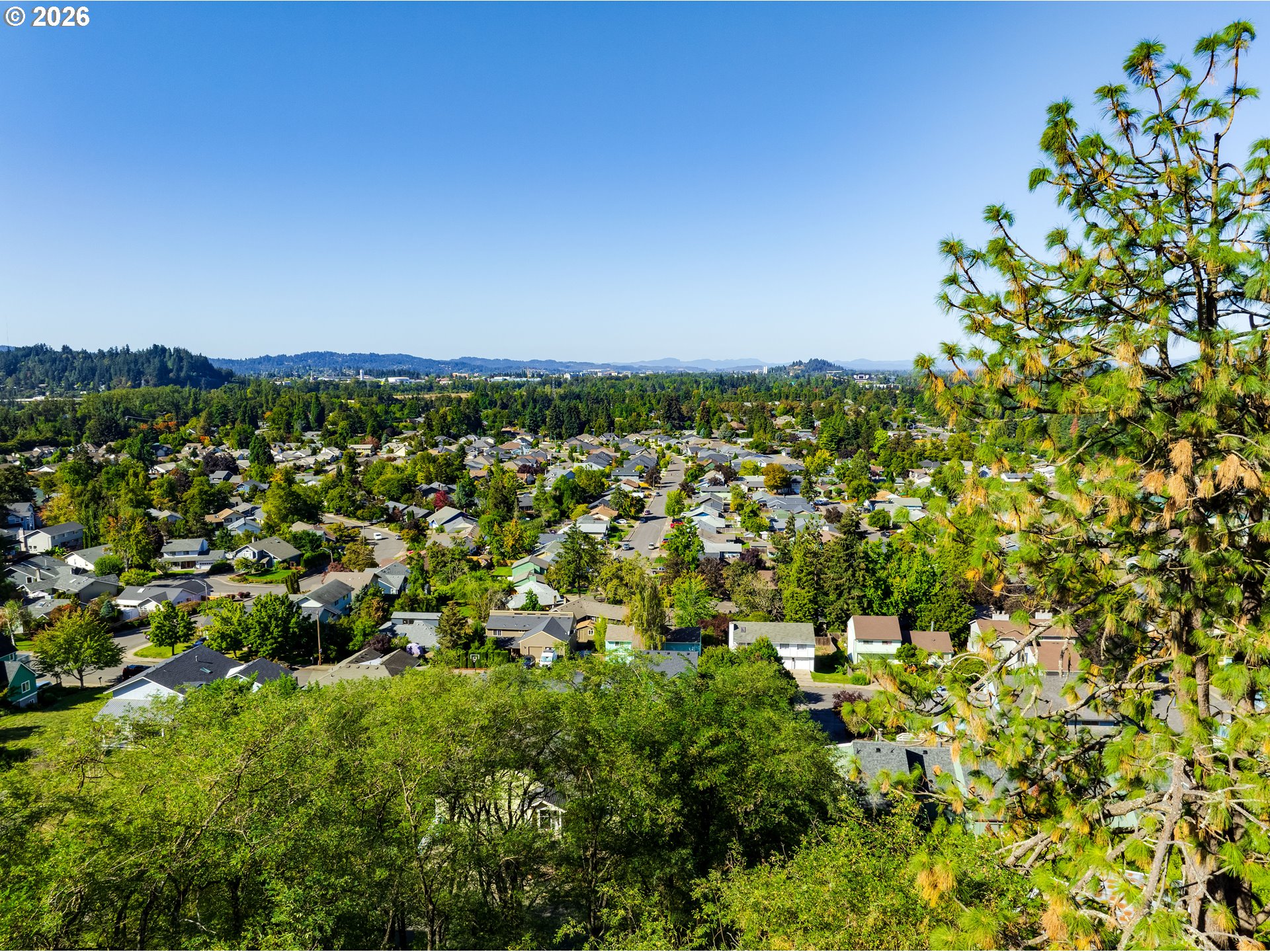 Summit Boulevard Springfield, OR 97477 - Photo 13 of 19