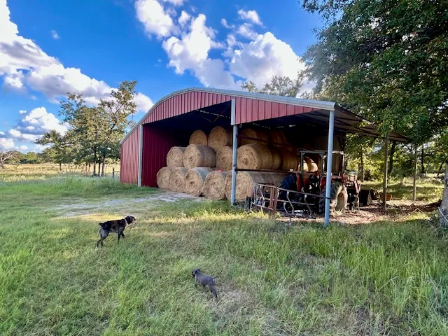 a view of a couches in patio and a yard