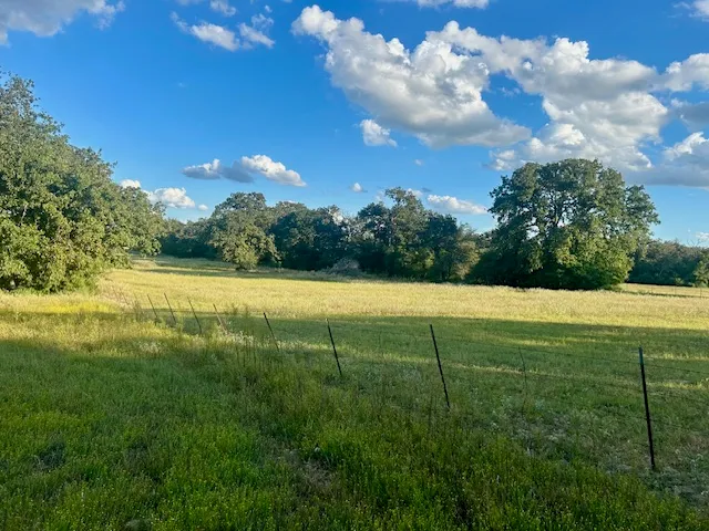 a view of a green yard