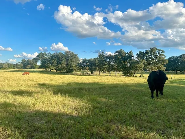 a view of a swimming pool with an outdoor seating and a yard