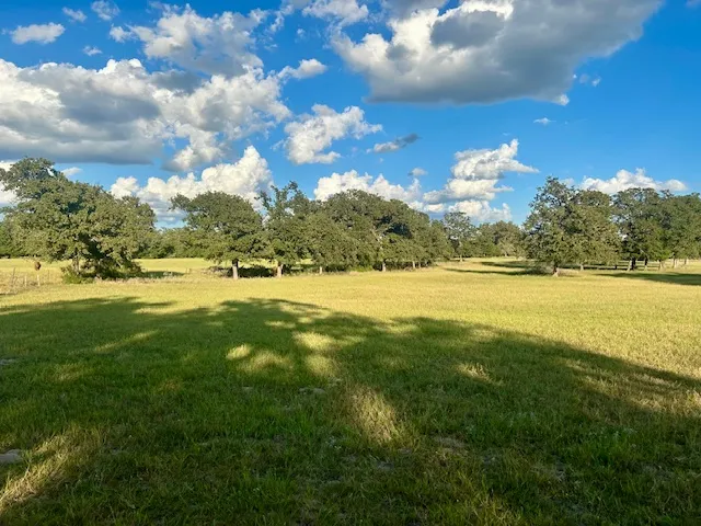a view of an ocean and a yard