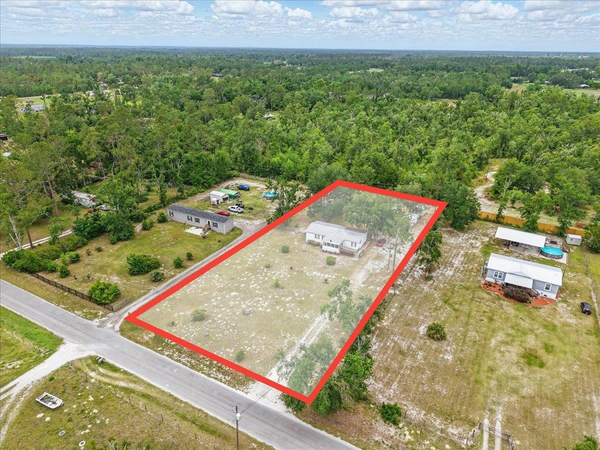 1372 Pine Bluff Road Perry, FL 32348 - Photo 8 of 38