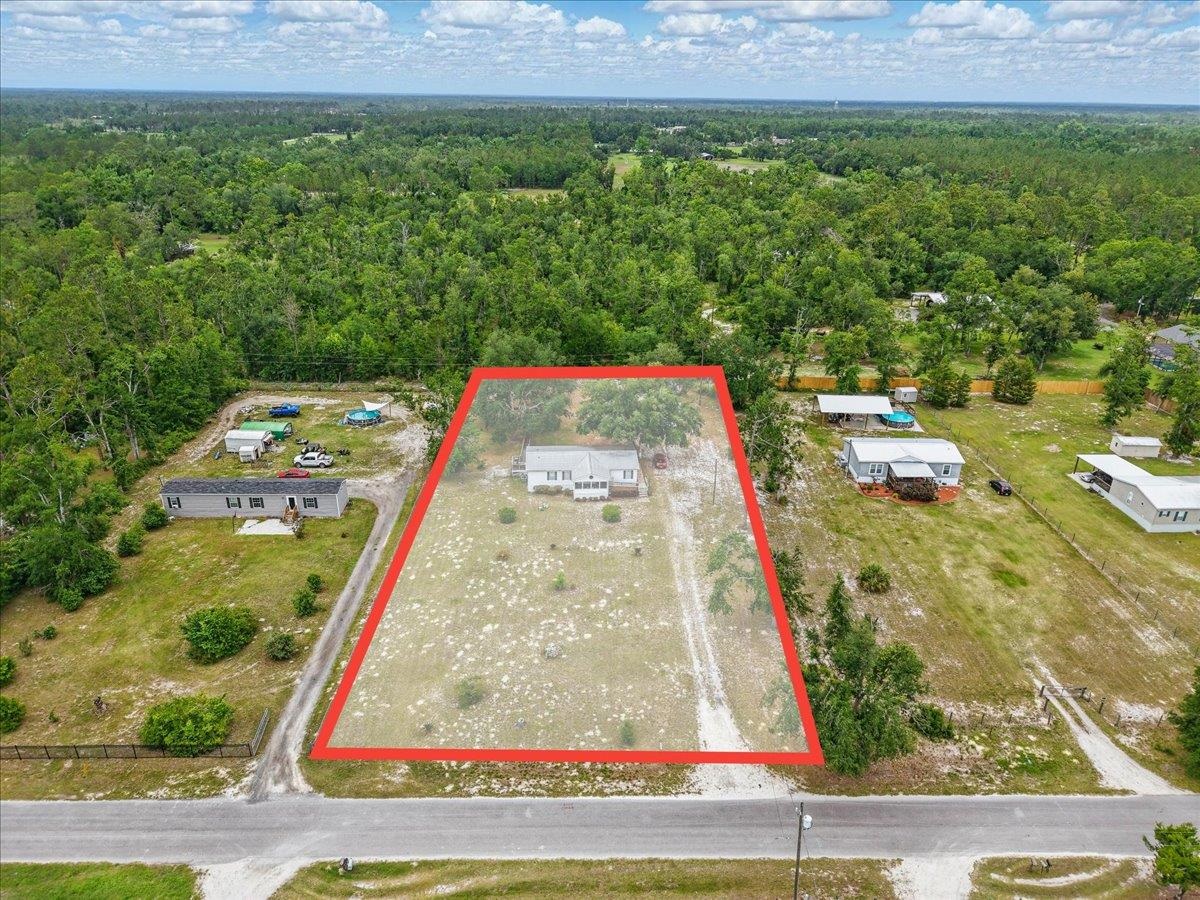 1372 Pine Bluff Road Perry, FL 32348 - Photo 9 of 38