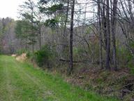 Bivens Road Tellico Plains, TN 37385 - Photo 1 of 5 Private drive 2 lots
