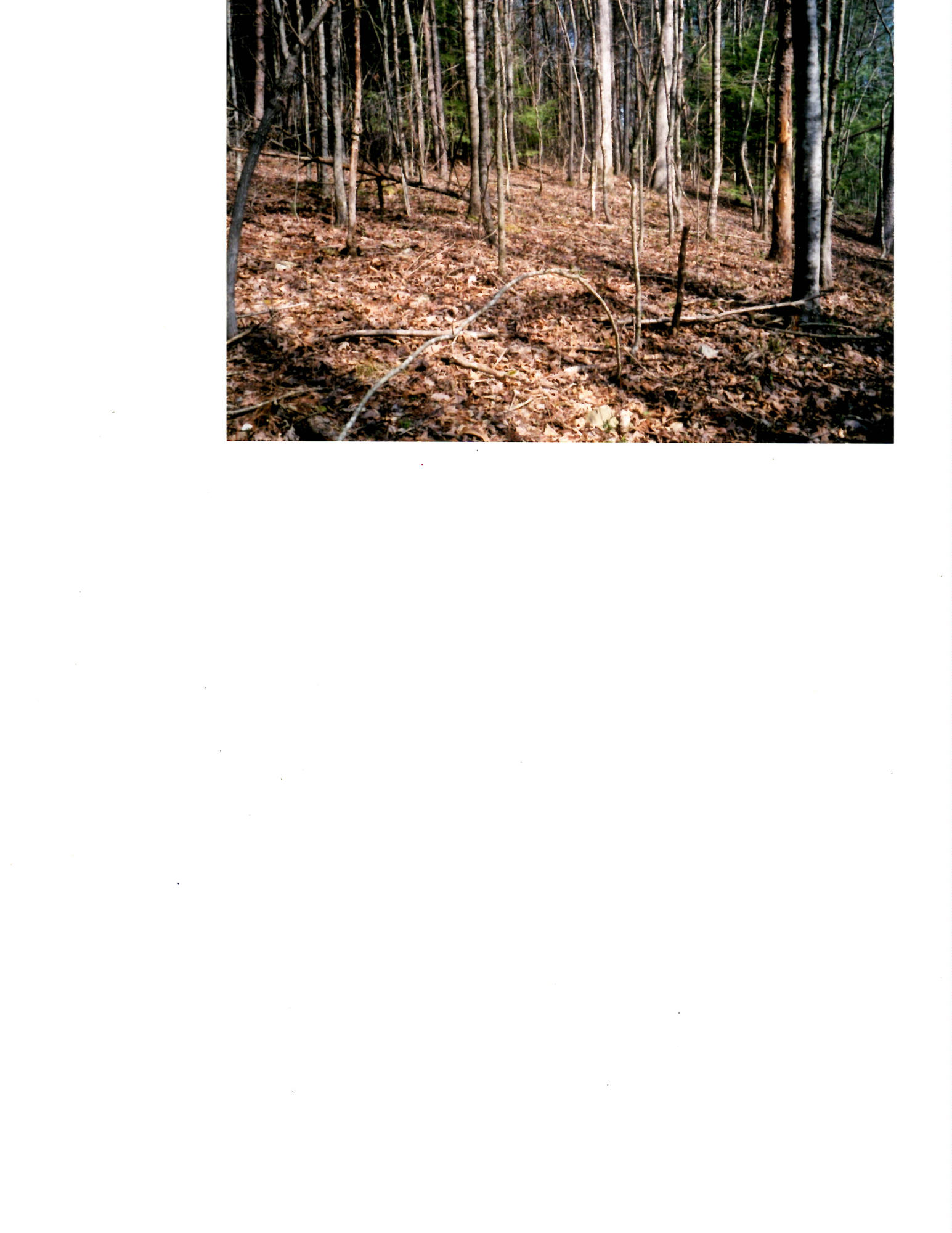 Bivens Road Tellico Plains, TN 37385 - Photo 3 of 5 Hilda 3