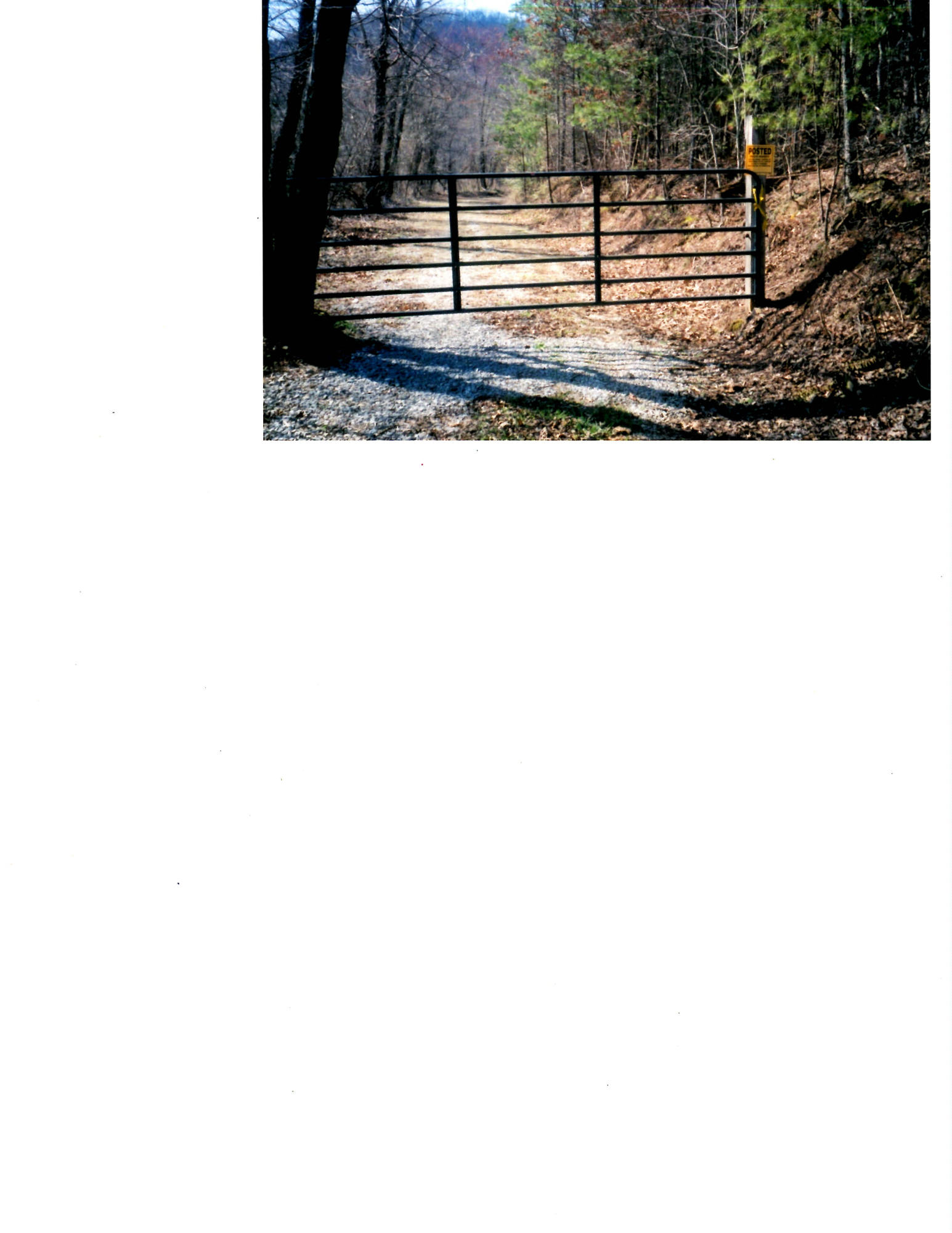 Bivens Road Tellico Plains, TN 37385 - Photo 5 of 5 This is end of road