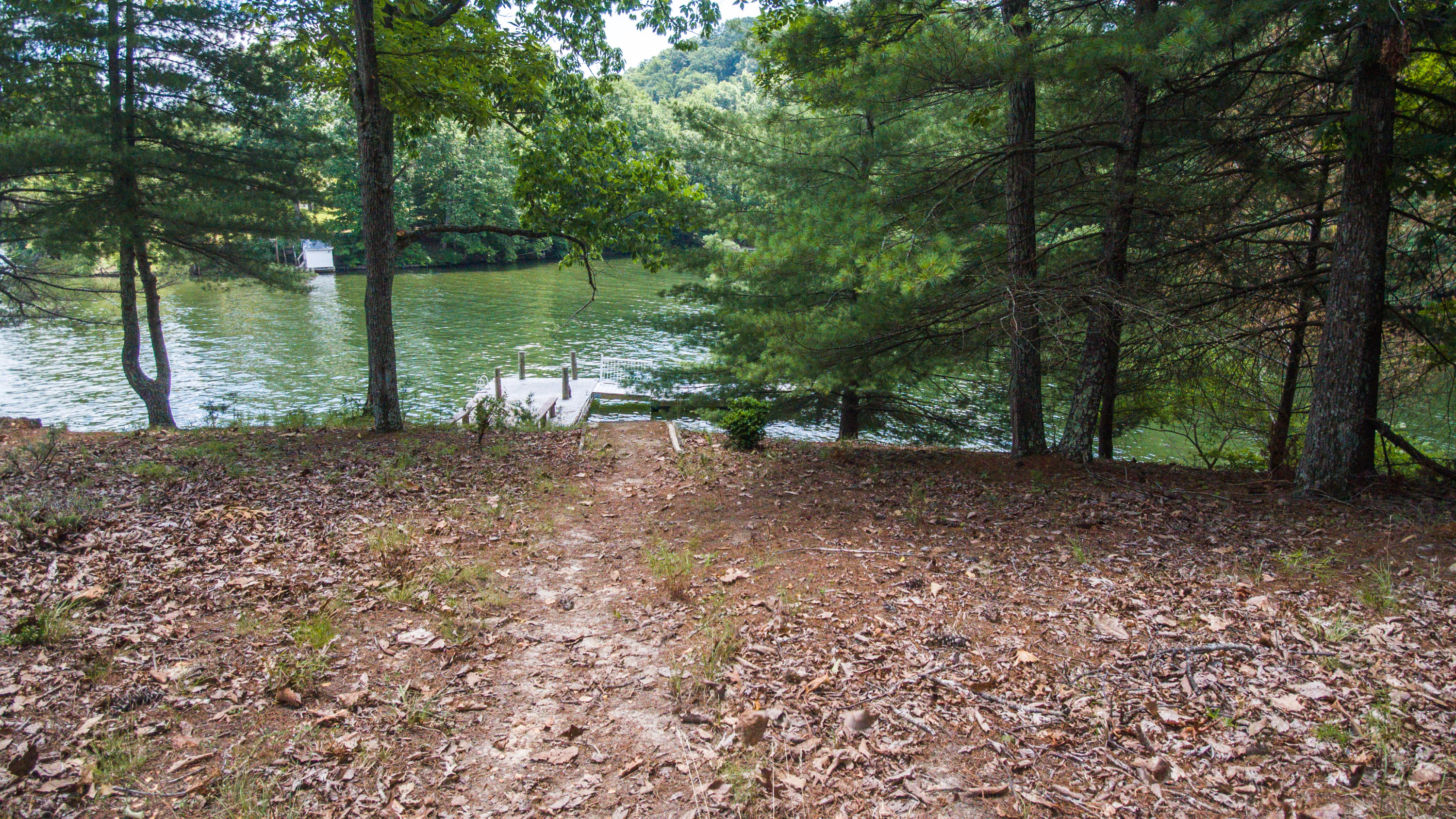 4262 Byrd Lodge Road Radford, VA 24141 - Photo 54 of 66 MAX_0053