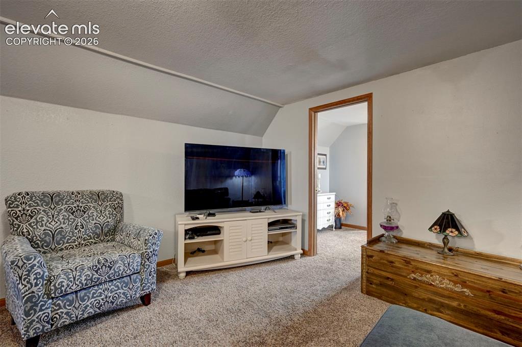 36930 Judge Orr Road Calhan, CO 80808 - Photo 30 of 47